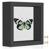 Califortree 5x5 Small Shadow Box Picture Frame with Soft Linen
