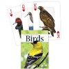 Birds of the Rocky Mountains Playing Cards