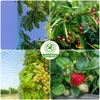 Bird Netting for Garden 13x33ft - Sukh Garden Netting Mesh