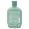 Alfaparf Milano Sdl scalp renew energizing shampoo