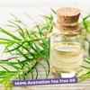 ORGANIC Tea Tree Oil 30ml, vegan – 100% pure tea
