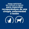 Hills Lata Ad Recuperacin 24pack Latas Original