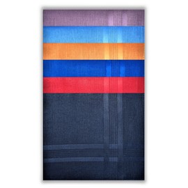 Style Square Men's Handkerchiefs, 100% Pure Soft Cotton Handkerchief, Pattern Colored Pocket Square Hankies, Great Gift, 43 x 43 cm (Assorted Set of 6 - AS-80259)