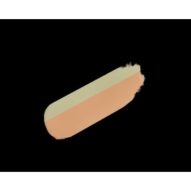 Jeongsaemmul Two-tone cover dark circle concern item Jung Saemmool Men Dark Zone Concealer 1.1g 2 types Salmon Beige / 투톤커버다크서클고민템 정샘물 맨 다크존 컨실러 1.1g 2종 살몬 베이지