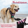 rabbitgoo Dog Harness No Pull with 2 Leash Clips, Adjustable