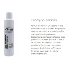 Labonté Mantenimiento De Alisados Labonté Shampoo +  Seda Y Keratina