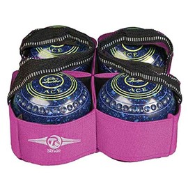 Taylor 4 Bowl Carrier - Pink