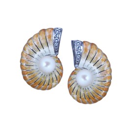Nautilus Shell Earrings - Sterling Silver and Vitreous Enamel