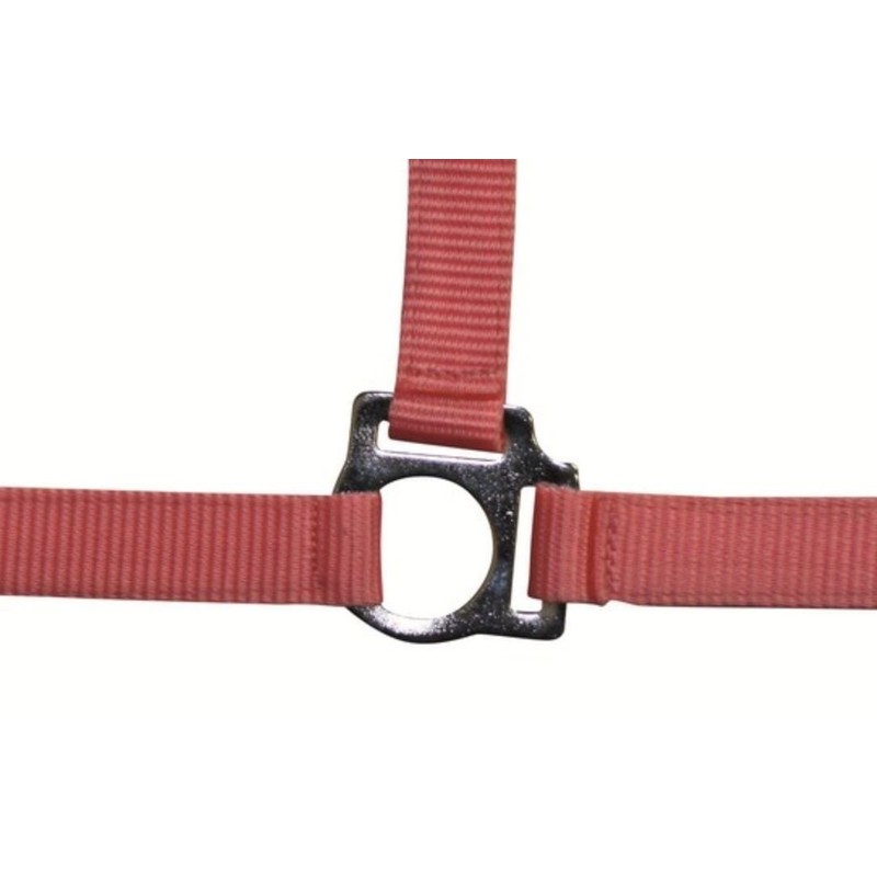 HKM Stars 558526 Headcollar Thoroughbred Dark Blue