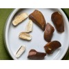 homemade Swietenia macrophylla 40 Seeds, Sky fruit, Mahagony, Mahoni, From