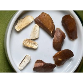 homemade Swietenia macrophylla 40 Seeds, Sky fruit, Mahagony, Mahoni, From  indonesia