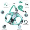 Serepet Puppy Harness and Leash Set Training No Pull, Step