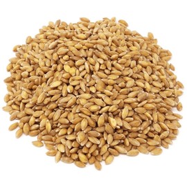 Einkorn Wheat Berries, Organic, Non-GMO, Ancient Whole Grain, High in Protein and Fiber, 25 lb