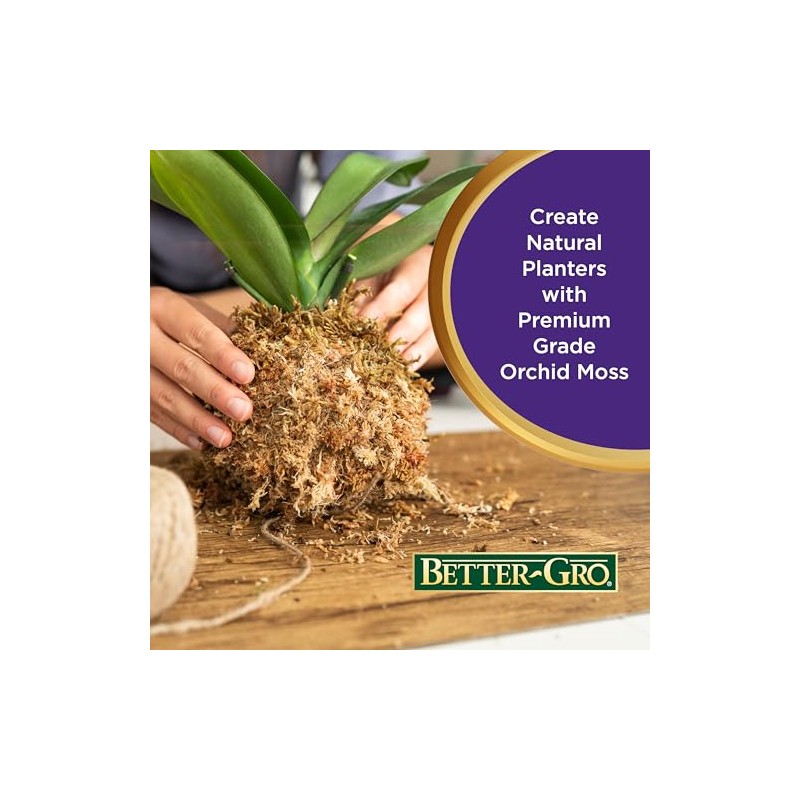 Better-Gro Premium Grade Orchid Moss - 100% Natural, Imported Sphagnum