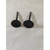 CLONE INTAKE & EXHAUST SHORT VALVE SET, Clone 196 Ducar