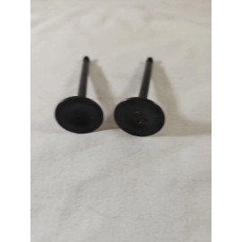 CLONE INTAKE & EXHAUST SHORT VALVE SET, Clone 196 Ducar Go Kart Racing GX200 Honda NEW