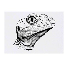 'Gecko Head' Temporary Tattoo - Water Resistant, Skin-Safe, Non-Toxic Transfer (TO00070861)