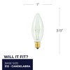 Bulbrite Incandescent B8 Candelabra Screw Base (E12) Light Bulb, 1