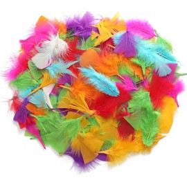 TRIXES 250PCS Coloured Feathers - for Kids Arts and Crafts- Decorate Pictures, canvases, Projects, Hats, Bonnets, Balloons and Much More - Add to Your Arts and Crafts Kit - Arts and Crafts Essential