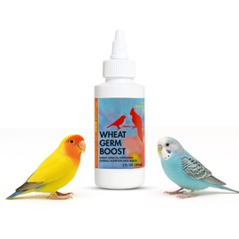 Morning Bird Wheat Germ Boost 2 Fl Oz - Organic Oil for Caged Birds, All Natural Supplement for Parakeets, Budgies, Parrots, Canaries, Conures, Cockatiels, and Finches