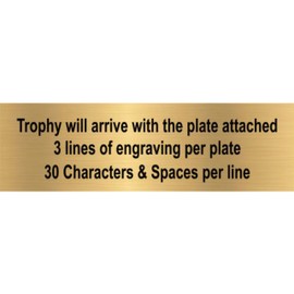 Decade Awards Lion Bobblehead Mascot Trophy - 6 Inch Tall | Engraved Lion Award - Customize Now