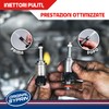 SYPRIN Pulitore Iniettori Benzina, Pulizia Sistema Carburante 500 ml