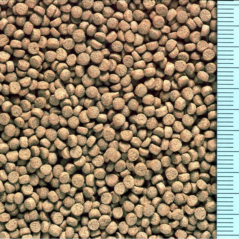 Hikari(ヒカリ) ペット用 ウーパールーパー用 30グラム (x 1)