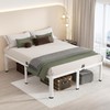 MAF 18 Inch Queen Size Bed Frame White with Round