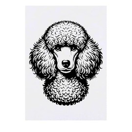 Azeeda 'Pudel' Temporäres Tattoo - Hautfreundlicher & Ungiftiger Abziehbild · Wasserfest (TO00075981)