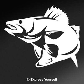 Express Yourself Products Walleye (White - Reverse Image - Large) Decal Sticker - Freshwater Fish Collection