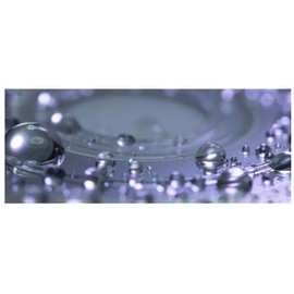 DIBOSSCO Kolloidales Silber. Kolloidales Silber 25ppm. Desinfizierend, antibakteriell, gegen Akne. Jede Flasche enth?lt 100ml. Kolloidales Silber. Reines kolloidales Silber zum Trinken. Kolloidales silberspray