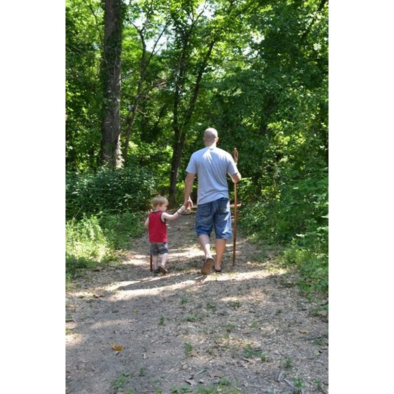 Walking Stick with "USA" Carved in Hiking Staff up to