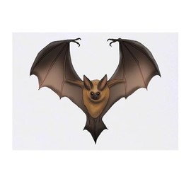 'Flying Bat' Temporary Tattoo - Water Resistant, Skin-Safe, Non-Toxic Transfer (TO00085115)