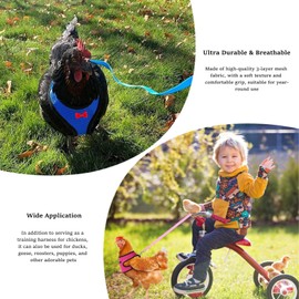 Chicken Harness with Lead, 3 Pieces Chicken Harness, Adjustable, Breathable, for Duck, Goose, Hen, for Running Training, Size M