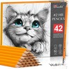 HB Pencils with Rubbers on the End - Pack of