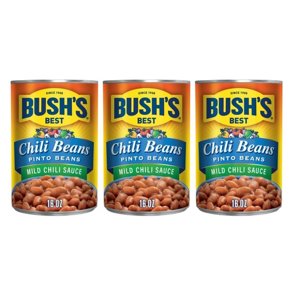 Bush's Best Mild Chili Beans - Pinto, 16 OZ (Pack