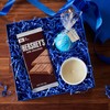 HERSHEY'S Milk Chocolate XL, Candy Bars, 4.4 oz (12 Count,