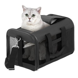 Pet Travel Carrier Soft Sided Portable Bag for Cats, Small Dogs, Kittens or Puppies, Collapsible, Durable, Airline Approved, Travel Friendly (Black Regular)