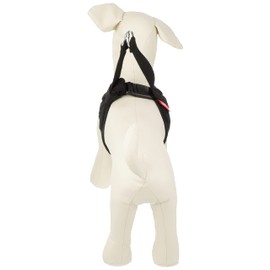 Anifull Anisapo Harrest Black X-Small Dog Size XS