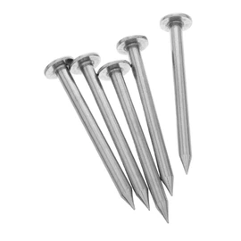 Sosoport 5Pcs Stainless Steel Survey Markers Heavy Duty Property Line Stakes Durable Flat Head Ground Nails for Landscaping Construction Engineering Applications