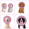 DEWVIE Soft Dog Cone for Dogs, Soft Dog Recovery Cone