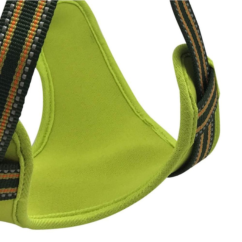 Long Paws Comfort Padded Step-in Dog Harness Reflective, Small, Green