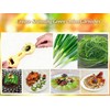 2-in-1 Green Onion Slicer & Green Bean Slicer, Manual Vegetable