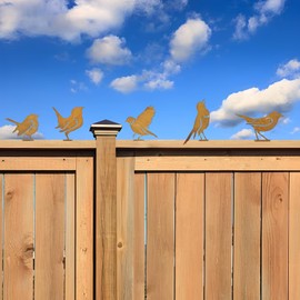 MOAZIFI 5 Patina Metal Bird Stakes, Garden Decoration, Rust Look with Screw Thread, Garden Decoration for Outdoors, Weatherproof, Outdoor Decoration, Iron Bird