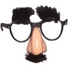 Rhode Island Novelty Child's Disguise Glasses, One Pair
