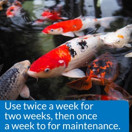 API PONDCARE MICROBIAL ALGAE CLEAN Green Water Biological Inhibitor (269D) 64-Ounce