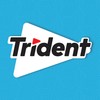 Trident Mint Bliss Sugar-Free Chewing Gum, 12 Packs of 14