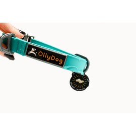 OllyDog Tilden Collar, Waterproof Dog Collar, Coated Stink-Proof Webbing, Easy to Clean with Side-Release Buckle, Great for Water-Loving Dogs (Medium, Red)