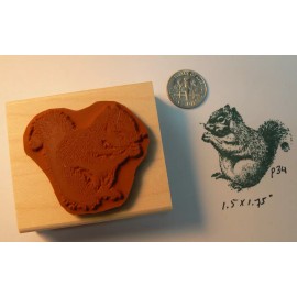 Dragonflylaser P34 Squirrel rubber stamp Wood Mounted 1.5x1.4"