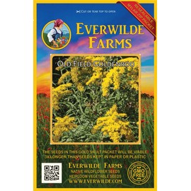 Everwilde Farms - 2000 Old Field Goldenrod Native Wildflower Seeds - Gold Vault Jumbo Seed Packet